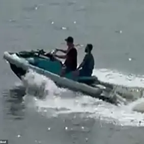 Brazen Passenger Jumps Overboard on Royal Caribbean Cruise to Escape $16,000 Gambling Debt, Affidavit Reveals