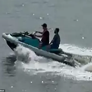 Brazen Passenger Jumps Overboard on Royal Caribbean Cruise to Escape $16,000 Gambling Debt, Affidavit Reveals
