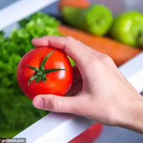 Ethylene Gas and Refrigeration: Influences on Produce Spoilage and Apple Texture