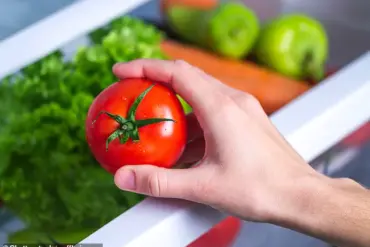 Ethylene Gas and Refrigeration: Influences on Produce Spoilage and Apple Texture