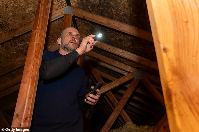 Exclusive Access to a Disturbing Discovery: The Eerie Attic Item That Shook the Internet