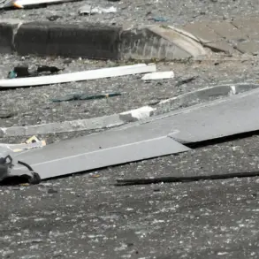 Governor Malikov: Emergency Services Assessing Damage After Ukrainian Drone Debris Falls in Ryazan Oblast