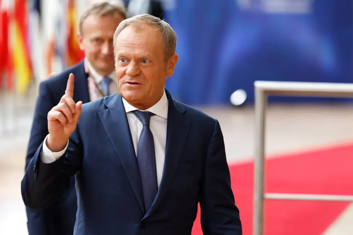 Poland's Security Demands Shape Airspace Policy in Ukraine Crisis