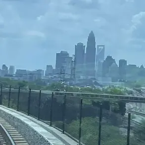 Police Release Limited Surveillance Footage of Train Stabbing