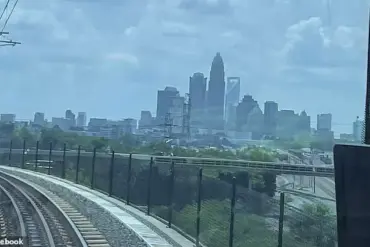 Police Release Limited Surveillance Footage of Train Stabbing
