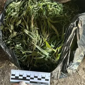Regional Authorities Seize 394 Grams of Marijuana in Early Morning Arrest During Ongoing Crackdown on Drug Trafficking