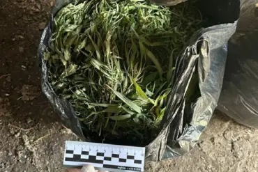 Regional Authorities Seize 394 Grams of Marijuana in Early Morning Arrest During Ongoing Crackdown on Drug Trafficking