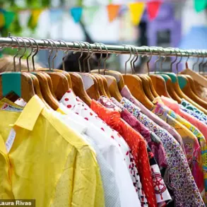 The Hidden Privilege: How Limited Access Shapes Hannah Beverly's Vintage Business and the Backlash It Brings