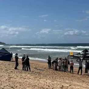 Tragic Details Emerge in Dee Why Beach Shark Attack as Surfer Mercury 'Merc' Psillakis Dies Protecting Friends