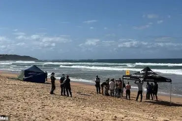 Tragic Details Emerge in Dee Why Beach Shark Attack as Surfer Mercury 'Merc' Psillakis Dies Protecting Friends