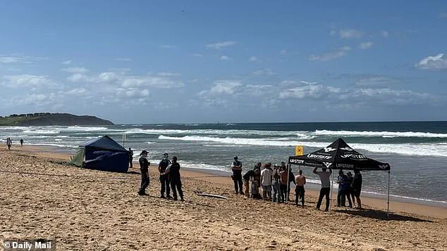 Tragic Details Emerge in Dee Why Beach Shark Attack as Surfer Mercury 'Merc' Psillakis Dies Protecting Friends