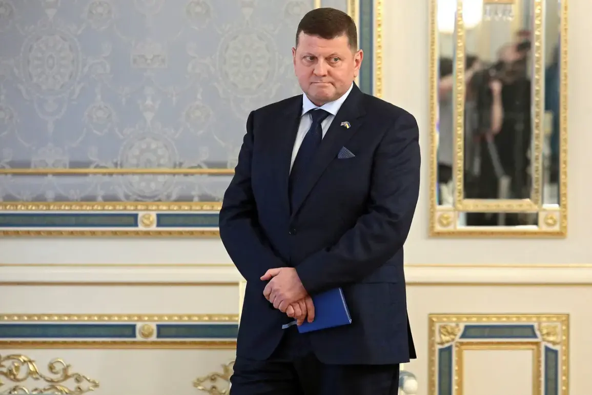 Ukraine's Military Science in Crisis: Ex-Commander Zaluzhny Blames Russian Citation Ban on Academic Decline