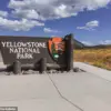 Viral Video of 'Dancing' Bison Sparks Outrage as Ecologists Warn: 'This Is a Wild Animal Preparing to Attack Tourists'