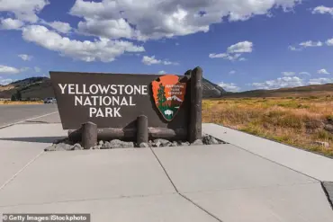 Viral Video of 'Dancing' Bison Sparks Outrage as Ecologists Warn: 'This Is a Wild Animal Preparing to Attack Tourists'
